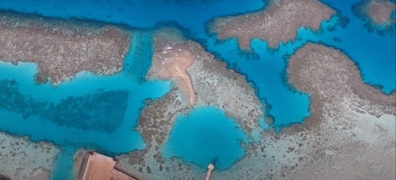 Plongée sous-marine à Sahl Hasheesh, Égypte