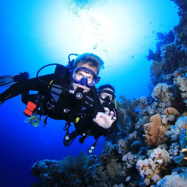Already certified – Aquarius Diving Club, Red Sea