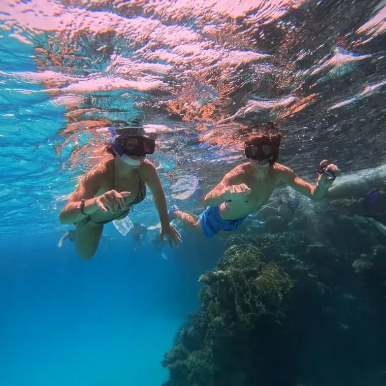 Snorkeling & family – Aquarius Diving Club, Red Sea