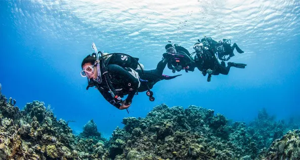 PADI Upgrade Aquarius Diving Club