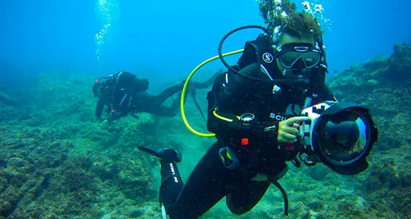PADI Underwater Photography Course in Sahl Hasheesh, Hurghada