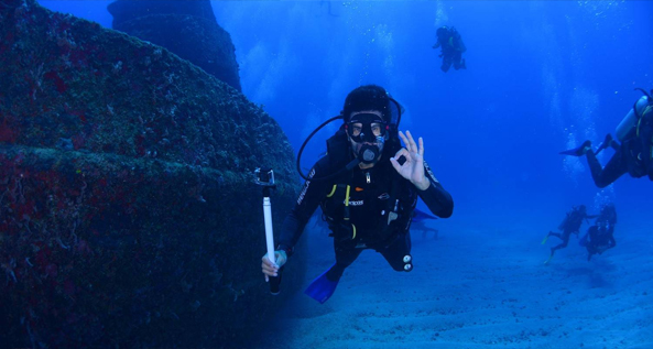 7 Days Diving
