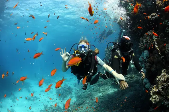 Immersione introduttiva giornata intera 15 min