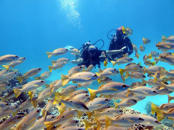 Immersione introduttiva mezza giornata 30 min