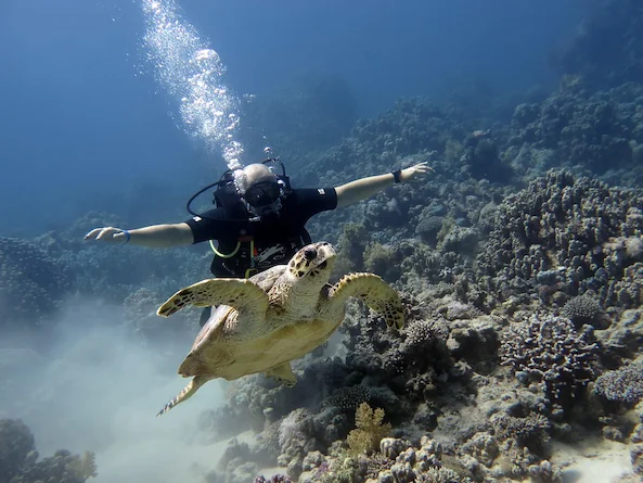 Prova immersione riva Ras Ghamila