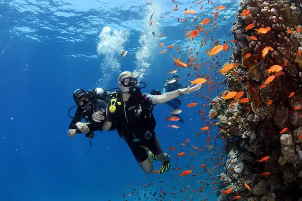 2 Intro Dives Sahl Hasheesh