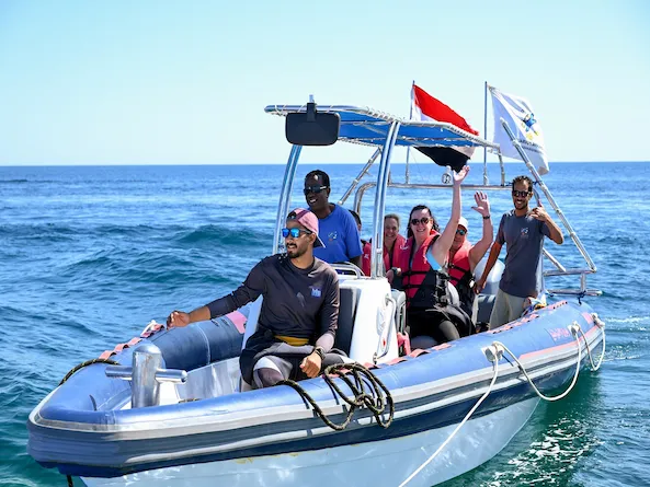 Escursione snorkeling Tiran (Speedboat)