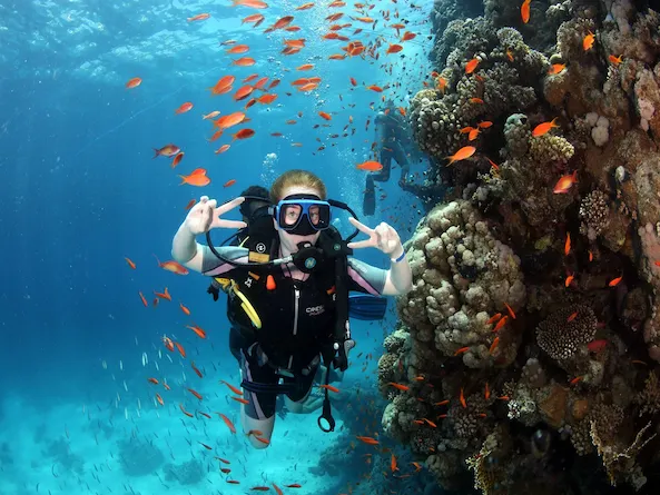 1 Intro Dive Sahl Hasheesh