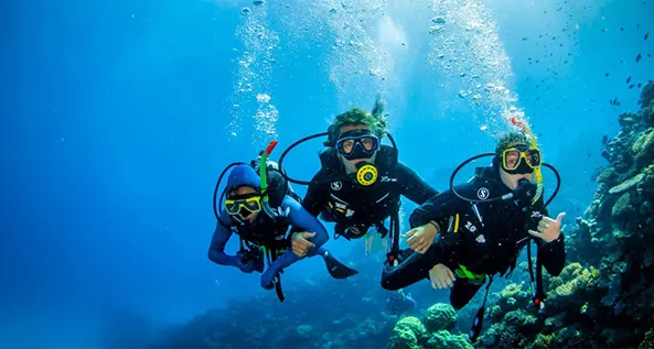 PADI E-Learning Aquarius Sahl Hasheesh Egypt