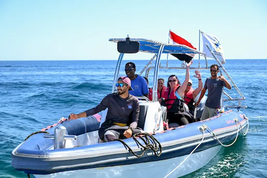 Dolphin and Snorkeling in Sharm El Sheikh, Egypt