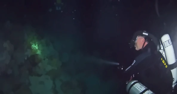 PADI Night Diver Specialty on the Qader Explorer catamaran in Hurghada