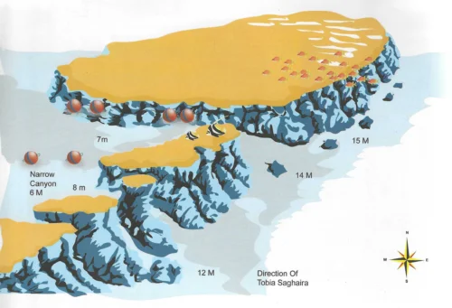 Tobia El Keber Safaga