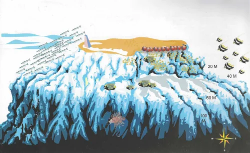 Panorama Reef Safaga