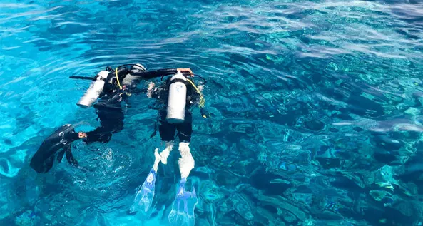 PADI Open Water Course Aquarius Diving Club