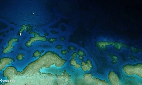 Vie macro récif maison