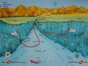 Eel Garden Ras Mohamed