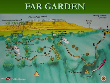 Far Garden Sharm Dive Site