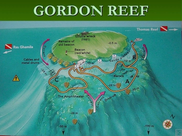 Gordon Reef Tiran