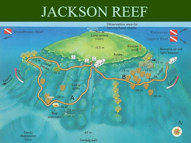Jackson Reef Tiran