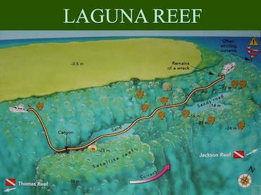 Laguna Reef Tiran