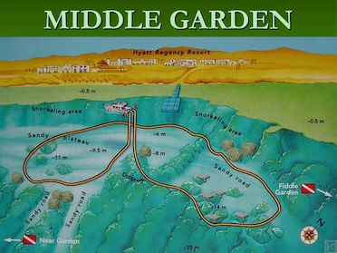Middle Garden Sharm Dive Site