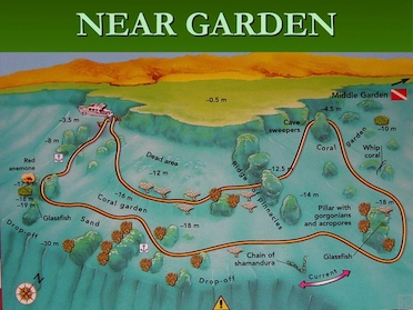 Near Garden Sharm Dive Site