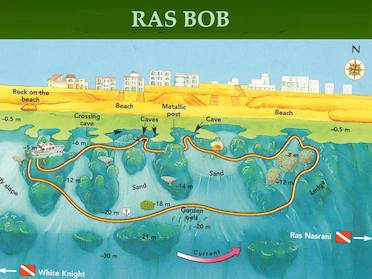 Ras Bob Sharm Dive Site