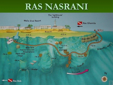 Ras Nasrani Sharm Dive Site