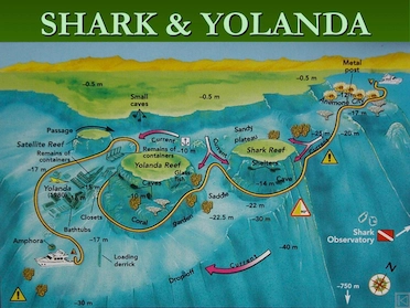 Shark Yolanda Ras Mohamed