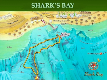 Shark’s Bay Sharm Dive Site