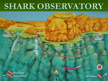 Shark Observatory Ras Mohamed