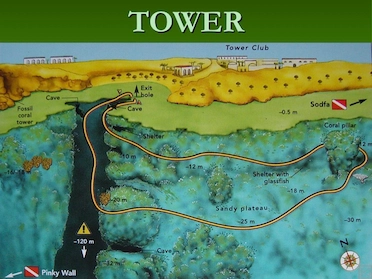 Tower Sharm Dive Site