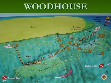 Woodhouse Reef Tiran