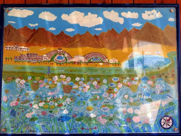 Drift Dive Ras Gamila