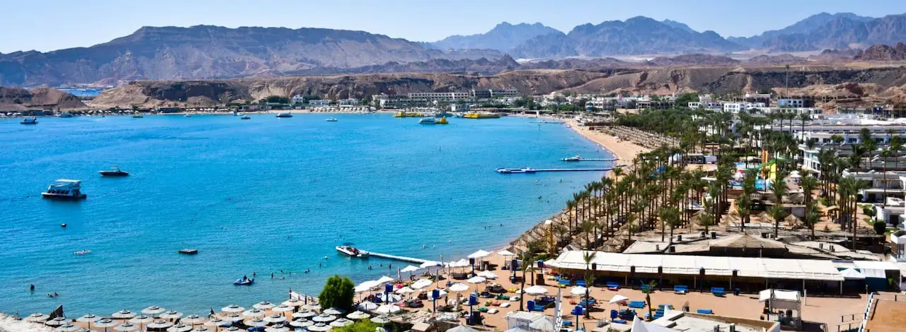 Best Diving Sharm El Sheikh Red Sea