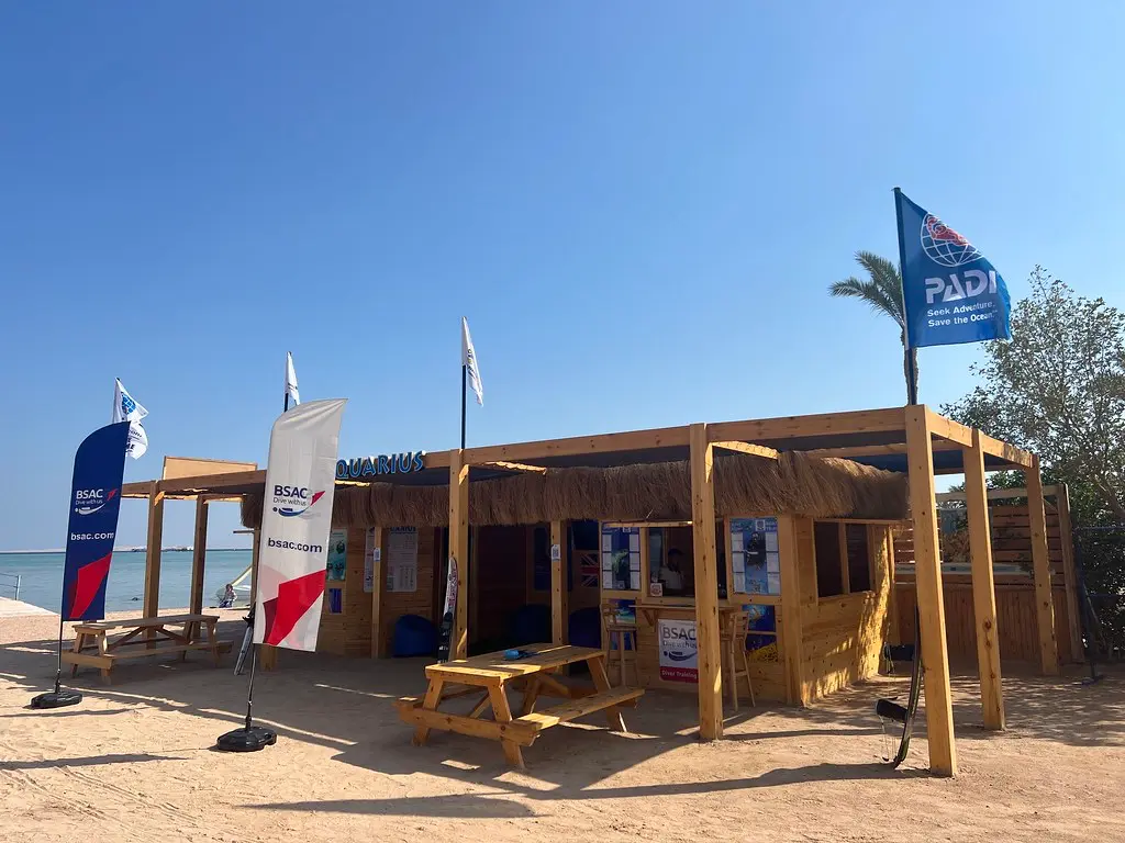 Coralli subacquei Mar Rosso