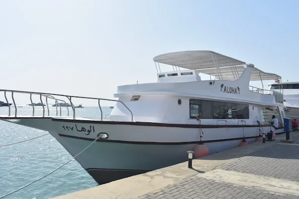 Private Halbtages Boot Touren in Hurghada