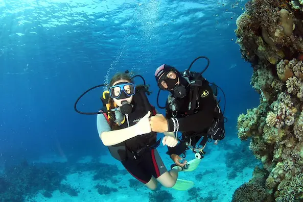 2 Try Dives by Boat from Sahl Hasheesh, Hurghada