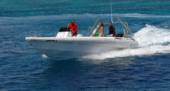 Private VIP Schnellboot Touren in Hurghada
