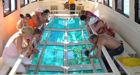 Glasbodenboot 1 Stunde Hurghada Marriott
