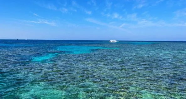 Insel-Tour in Hurghada