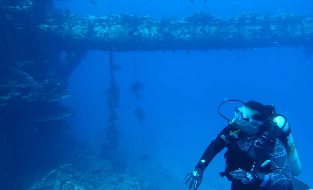 A scuba diver finning through the interior of an Abu Nuhas wreck, light pouring in through gaps in the hull