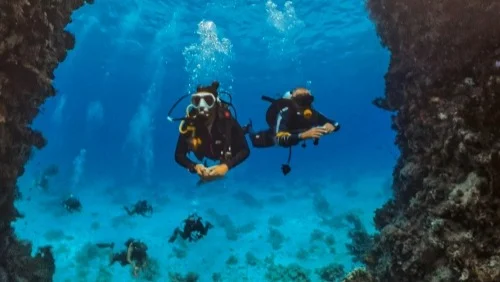 Coral gardens at Giftun Island Hurghada