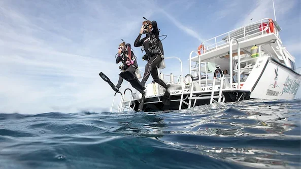 Crystal clear visibility Red Sea diving October calm sea