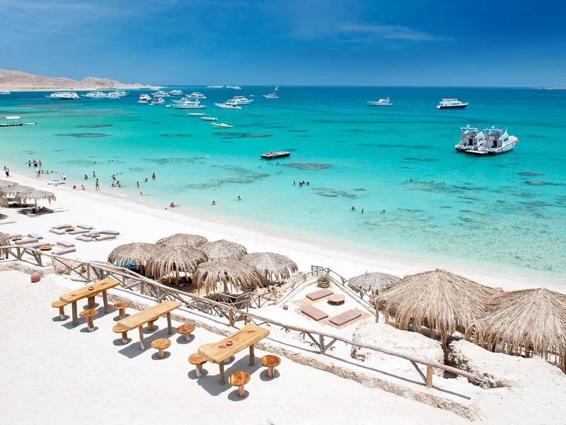 Egypt Red Sea vs Maldives diving destinations compared