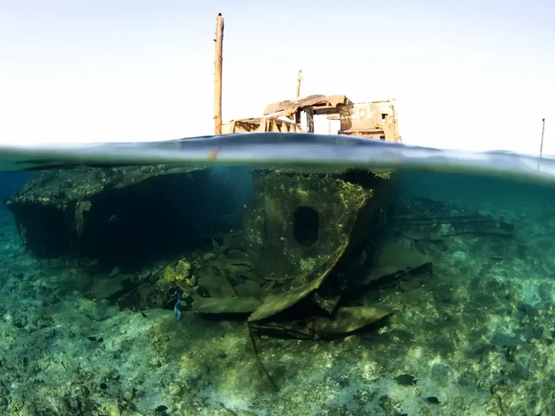 A diver over a healthy Red Sea coral reef, the sea shared by Egypt and Saudi Arabia