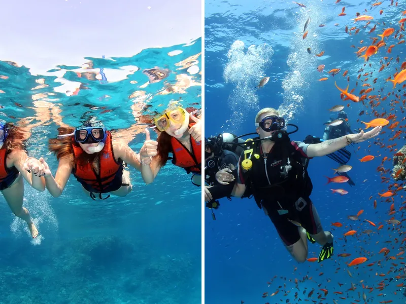 Snorkeler at the surface and scuba diver below on a Red Sea reef