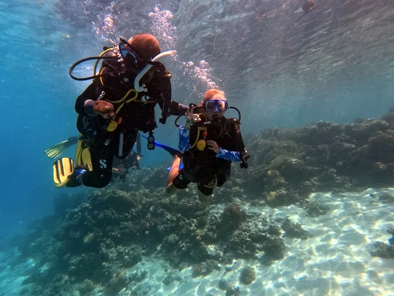 What Scuba Gear Do You Actually Need? A Beginner's Buy, Rent or Own Guide