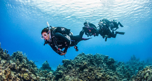 Scuba Upgrade Aquarius