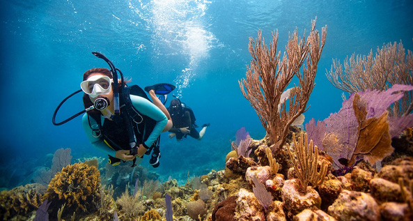 Scuba Upgrade at Aquarius